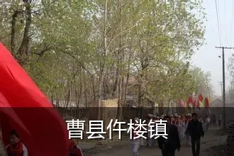 曹县仵楼镇