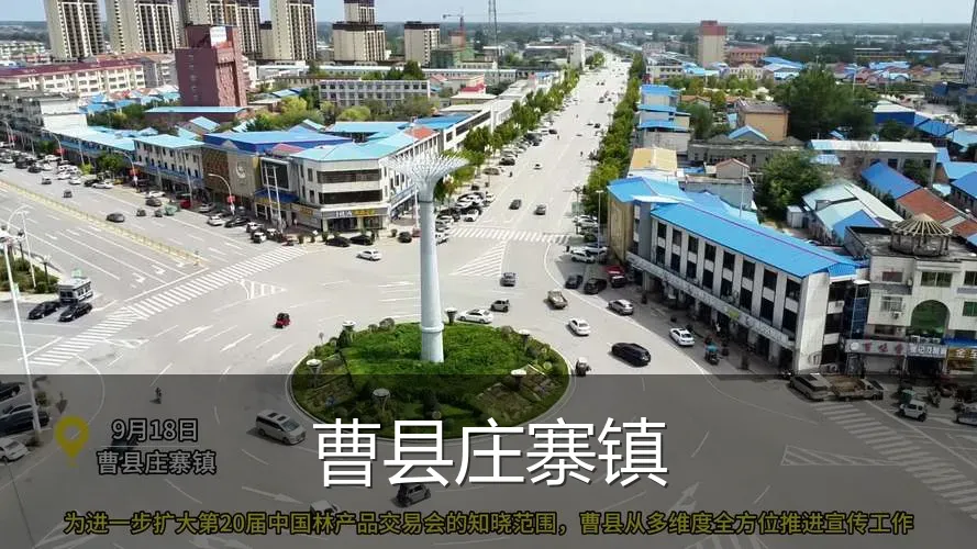 曹县庄寨镇