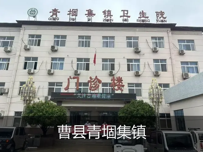 曹县青堌集镇